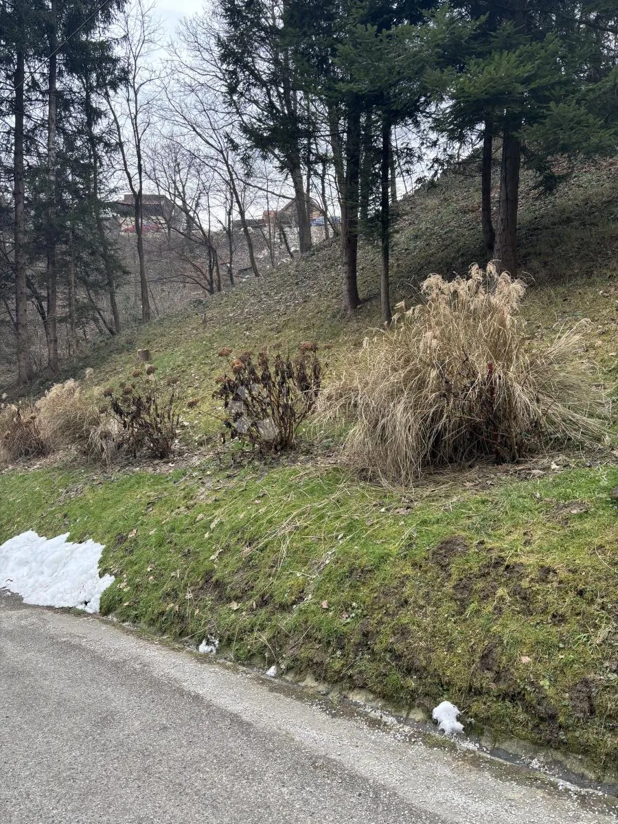 zemljište, gornja kustošija - slika 7