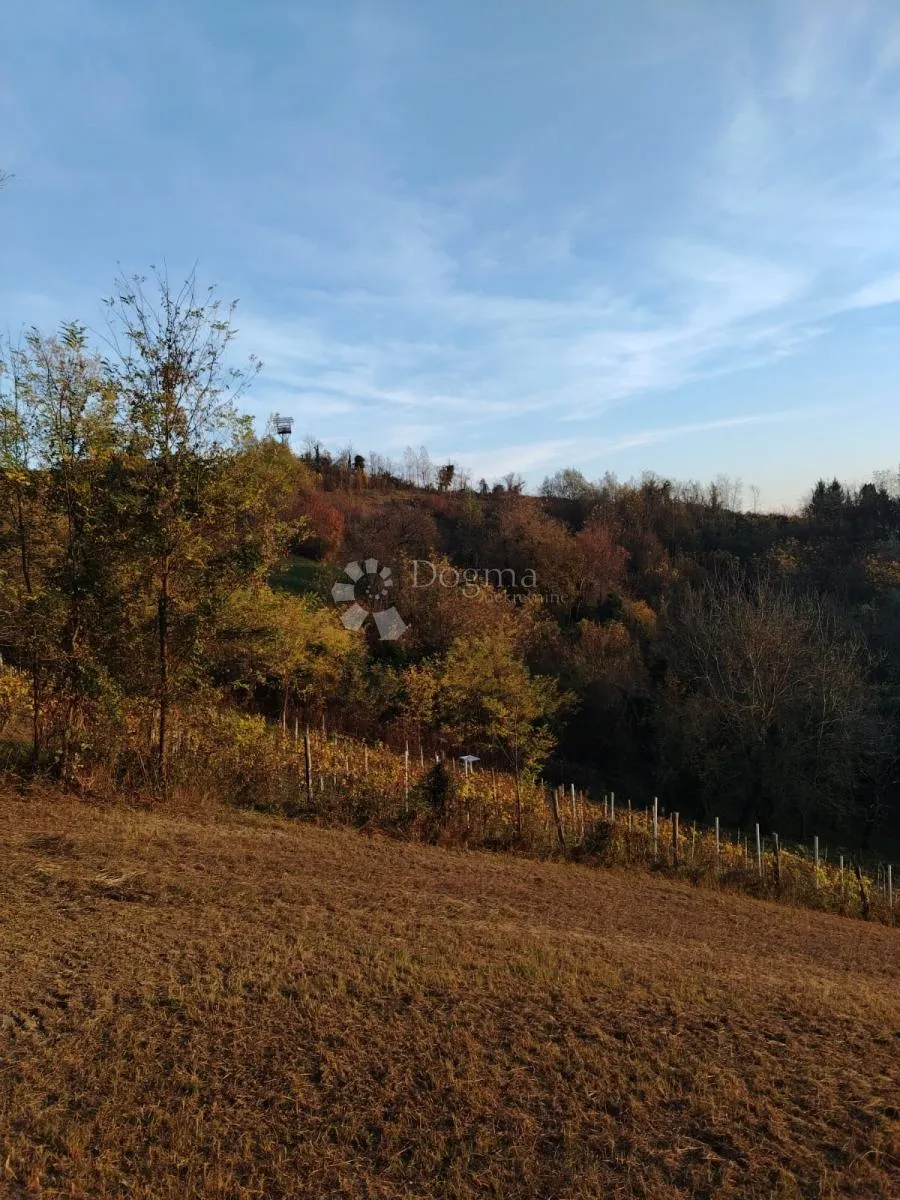 poljoprivredno zemljište picelj 4km od centra zaboka - slika 16