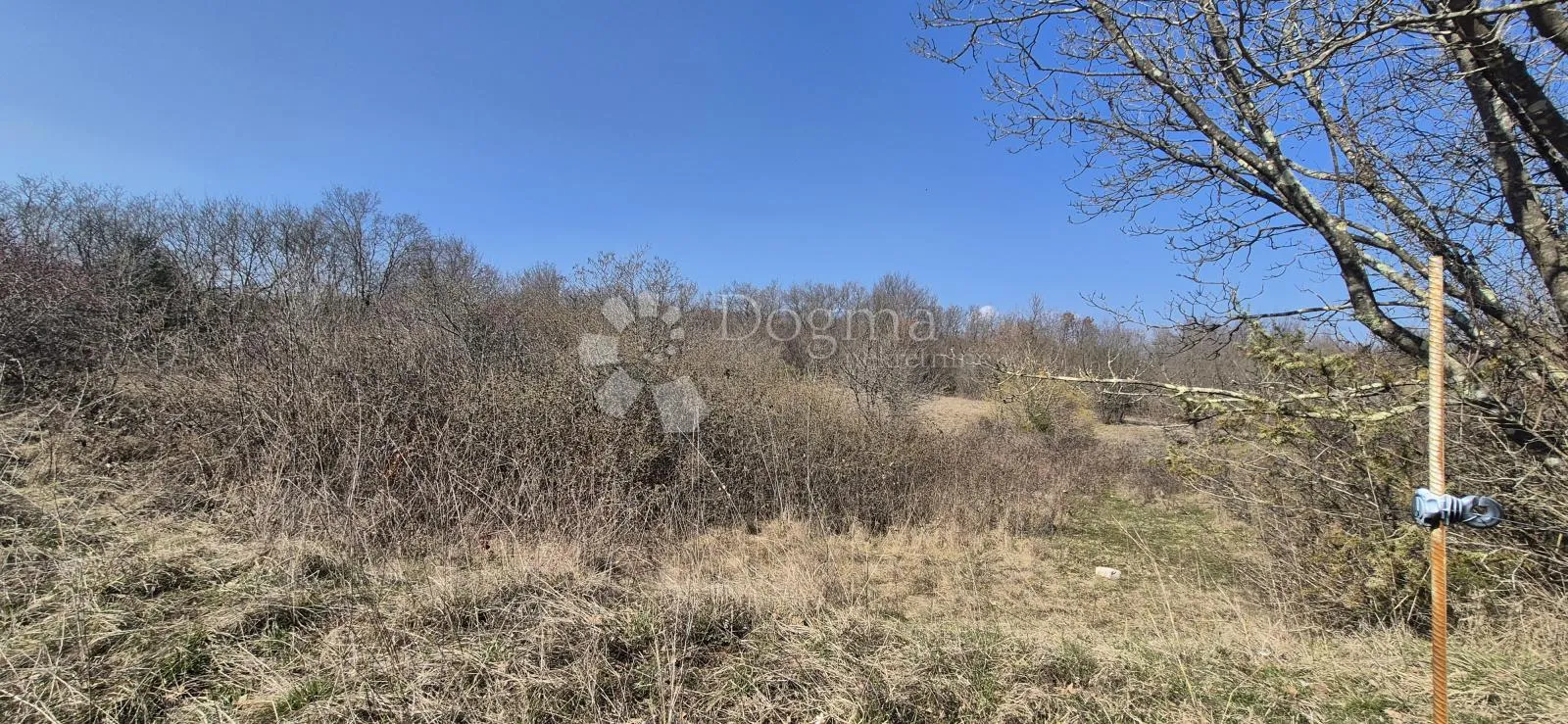 poljoprivredno zemljište površine 7962 m2 - slika 11