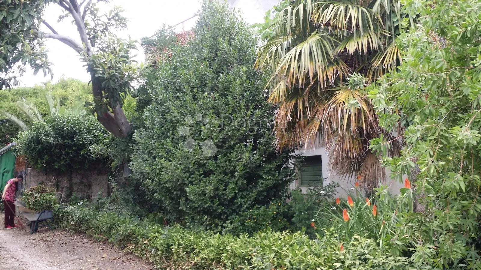 samostojeća kuća s velikom okućnicom – kaštel štafilić - slika 34