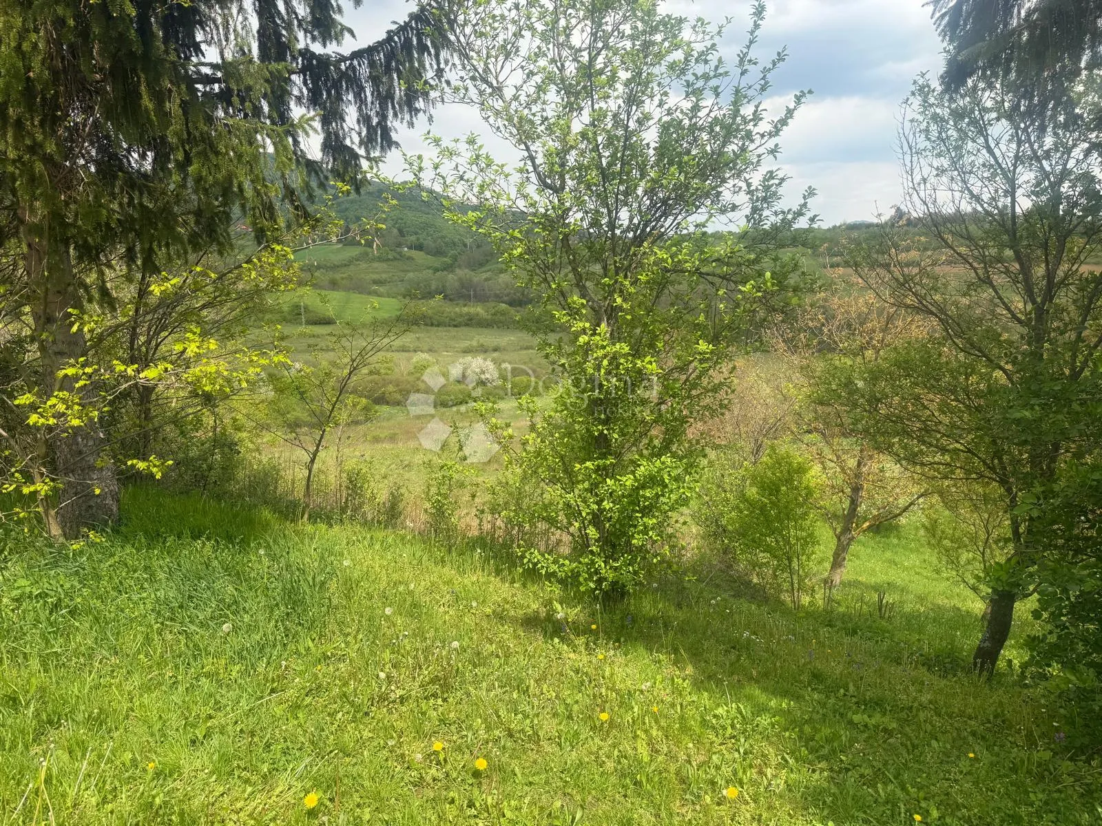 kuća + zemljište 1330 m2 - potencijal - slika 8