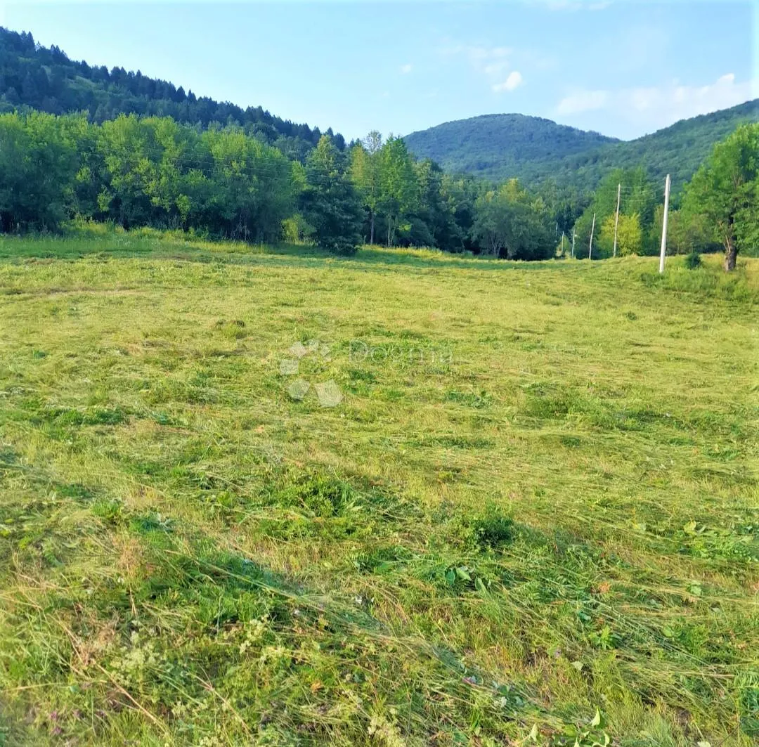 imanje na osami – 28.801m2 prirode, mira i privatnosti - slika 5