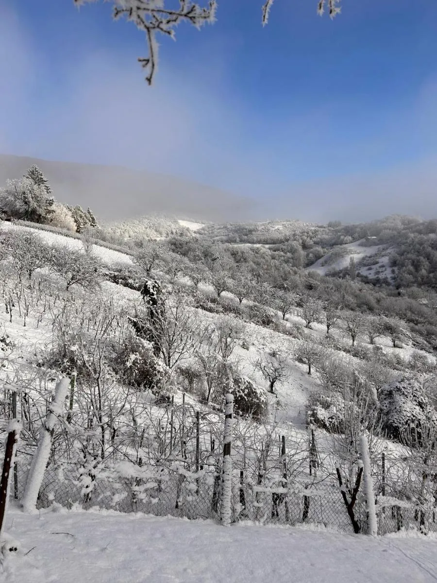 prekrasna kuća vlaškovec - slika 14