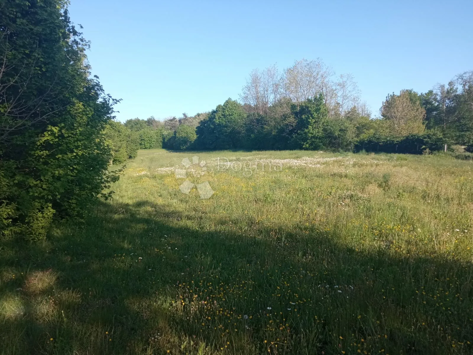 prostrano građevinsko zemljište u okolici pazina - slika 3