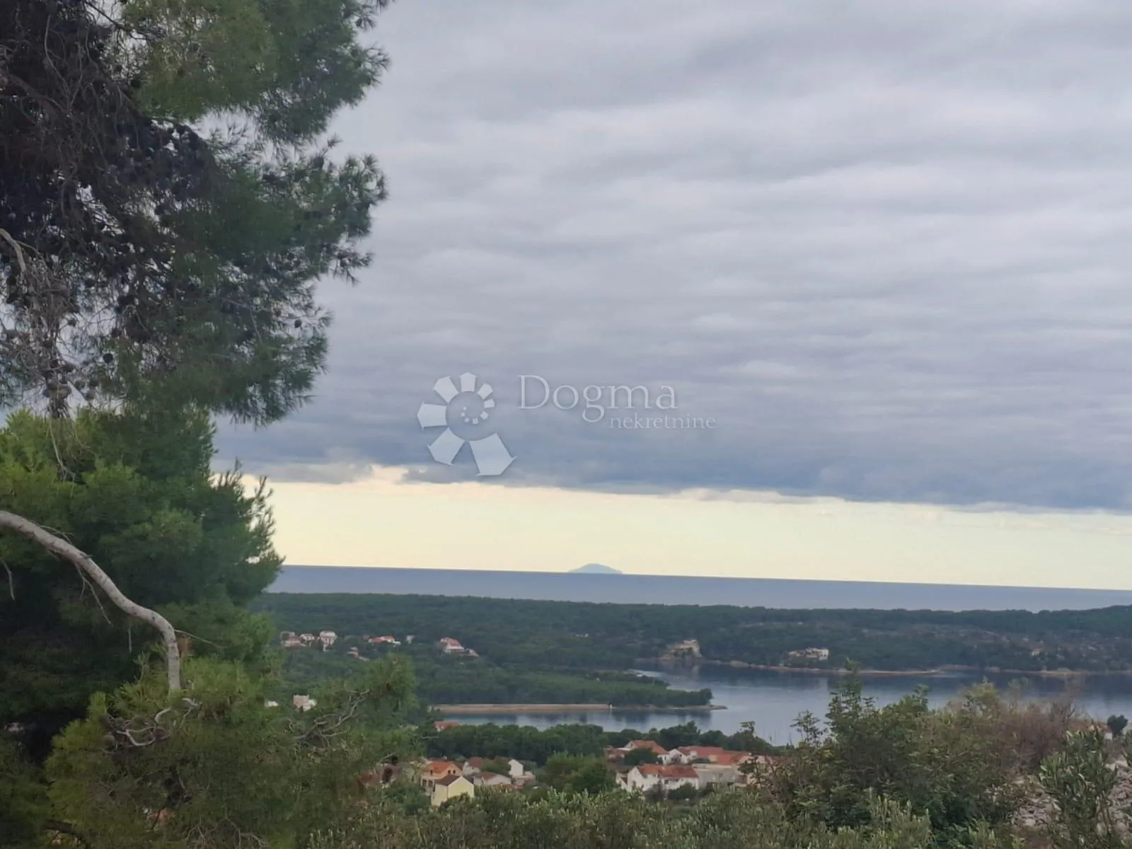 maslinik s pogledom na more milna brač - slika 3