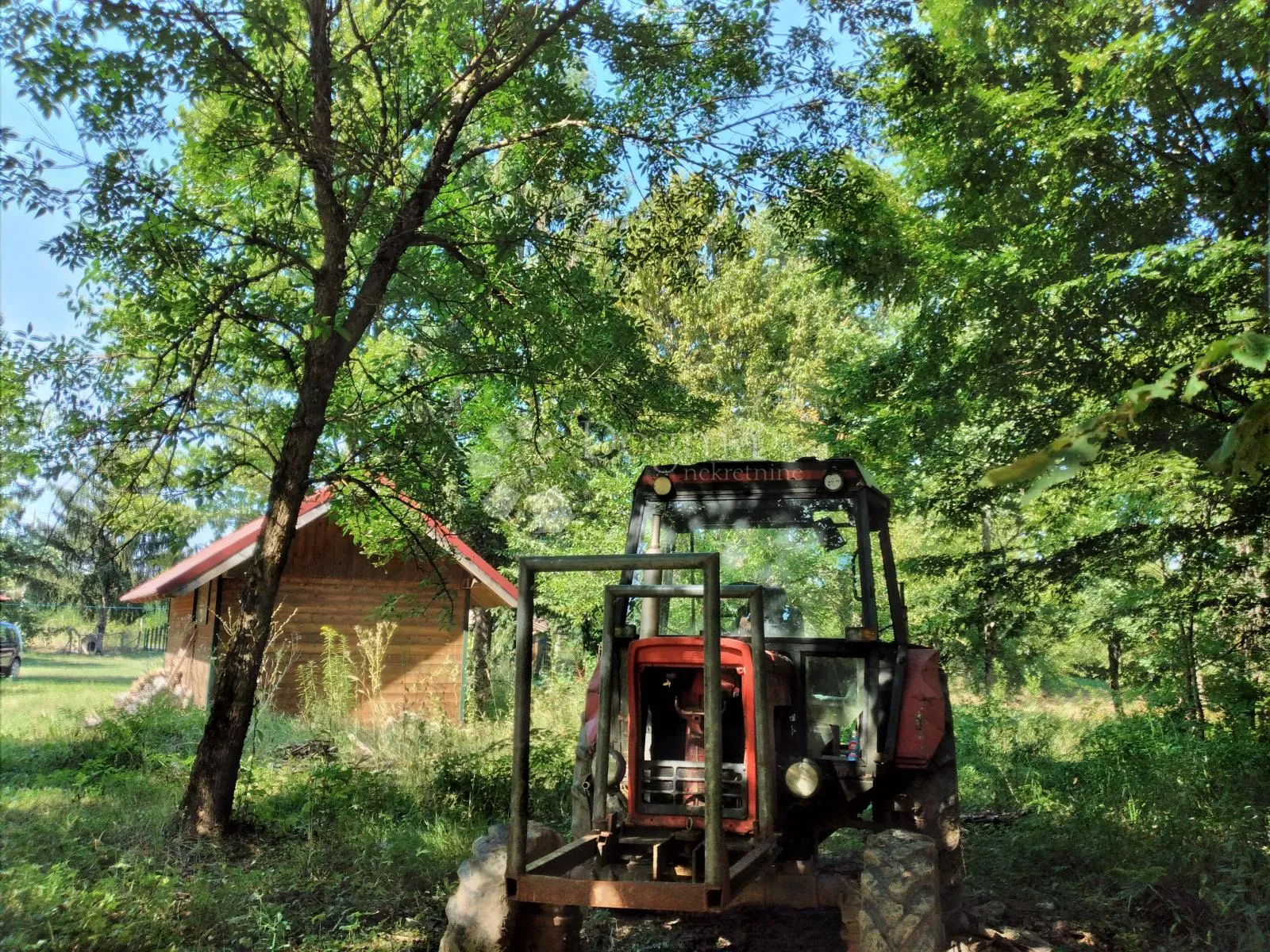 šumska vila - slika 23