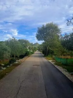 zanimljivo građevinsko zemljište na ugljanu - slika 7