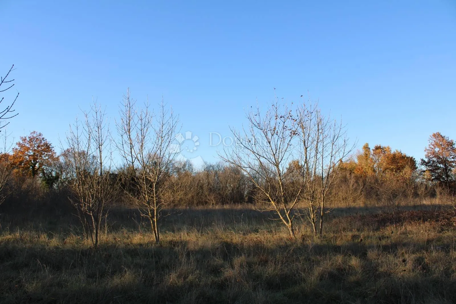 prostrano poljoprivredno zemljište uz cestu,kanfanar 13.000 m2 - slika 6