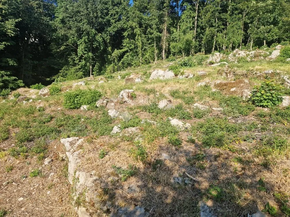 rukavac za obiteljsku kuću - slika 13