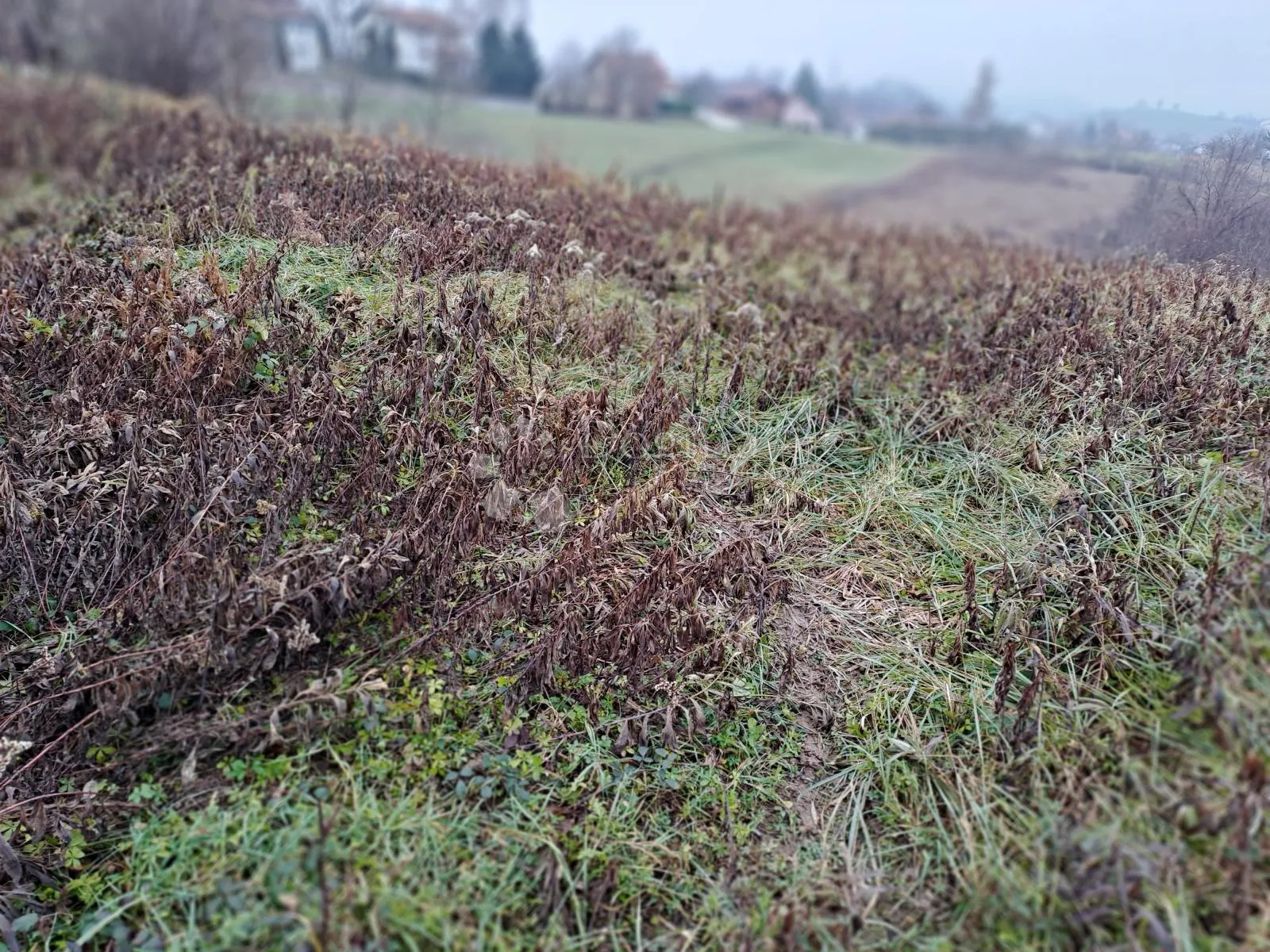 građevinsko zemljište s pogledom i prilazom - slika 6