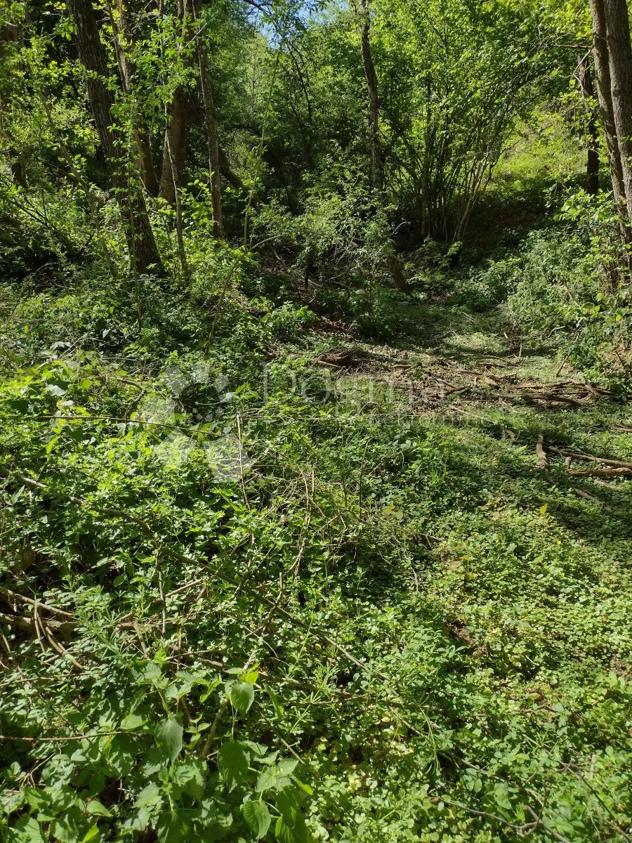 zemljište odlično, kuća loša, okolica daleko od bilo čega urbanog - slika 15