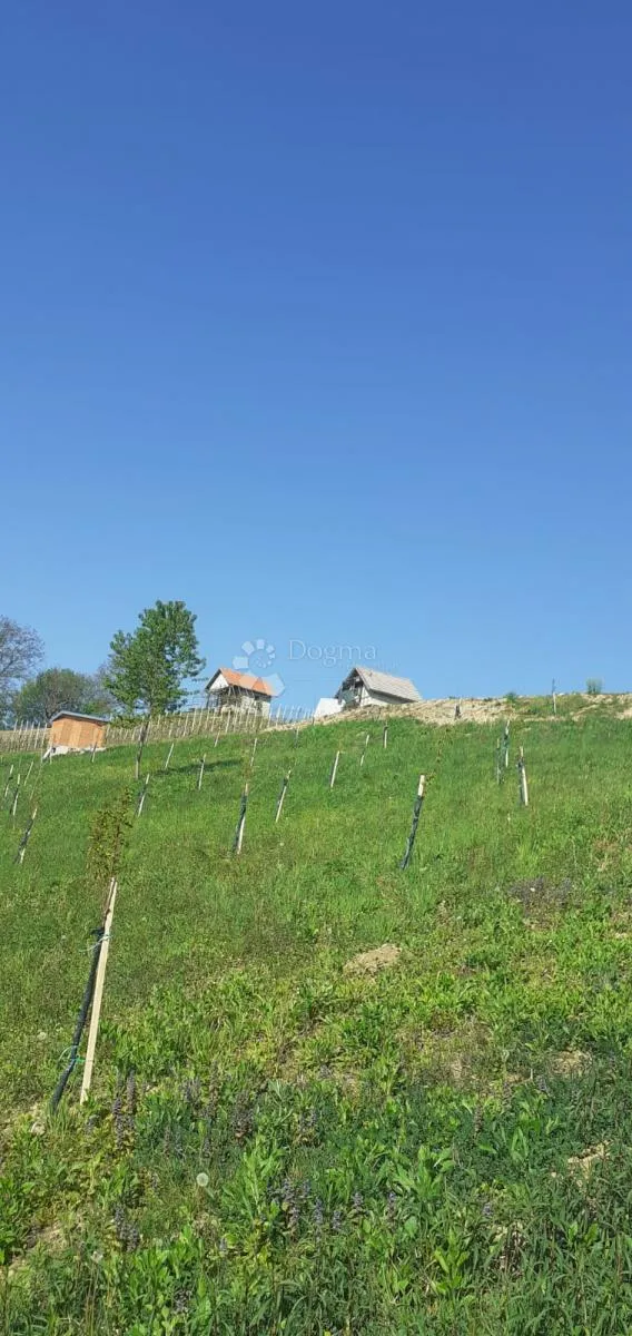 prodaja građevinskog zemljišta, zabok, veliko trgovišće - slika 3