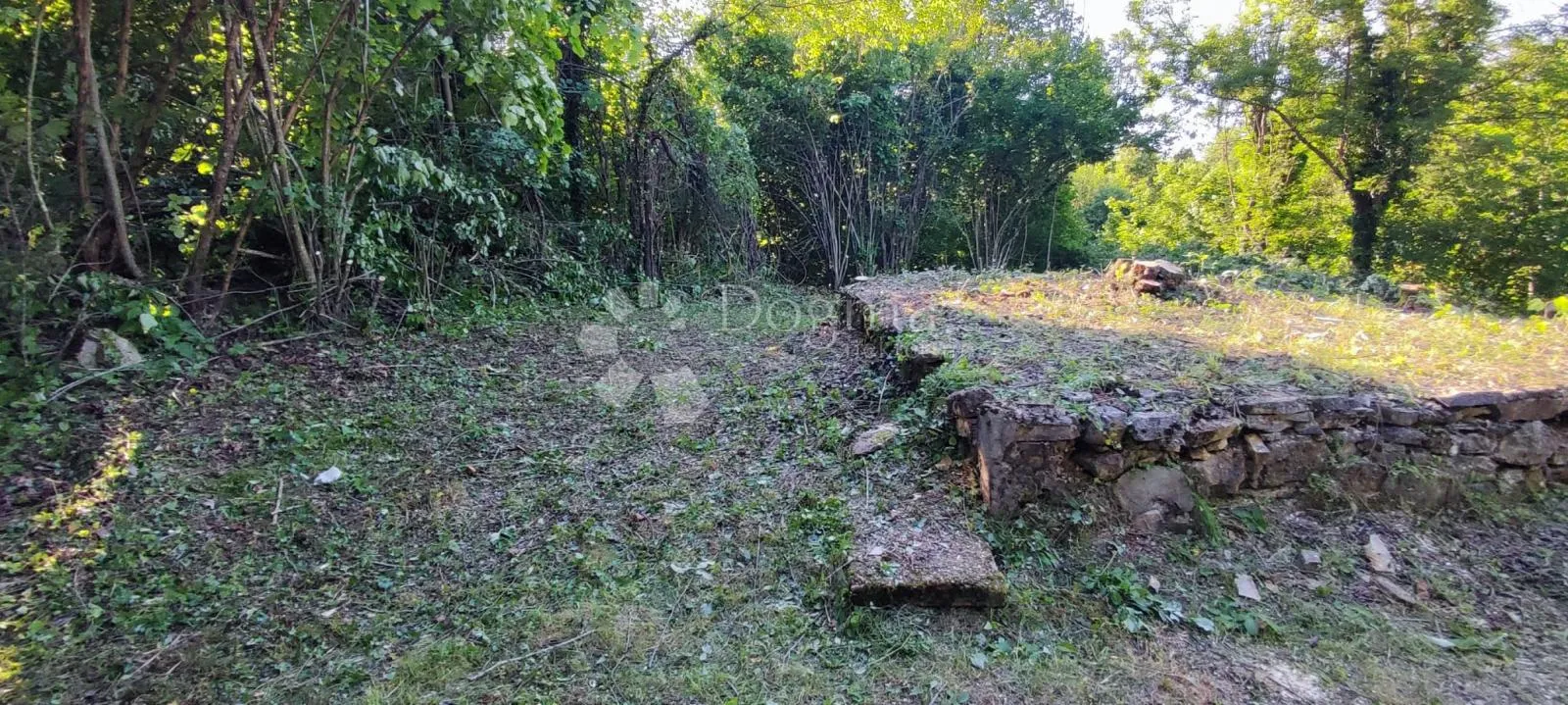 raj za pčelare i ljubitelje prirode - slika 4