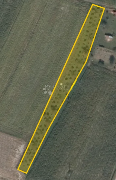poljoprivredno zemljište s nasadom lješnjaka i oraha - 1514 m² - slika 7