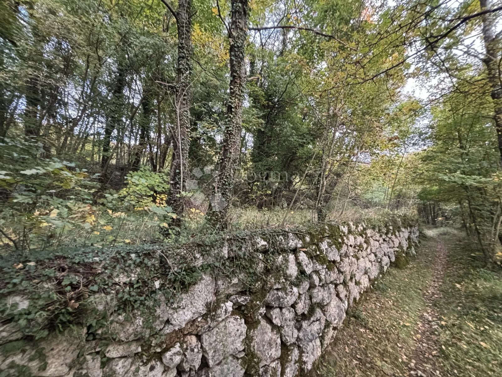 zemljište za obiteljsku kuću, veprinac, 1200 m² s pogledom - slika 4