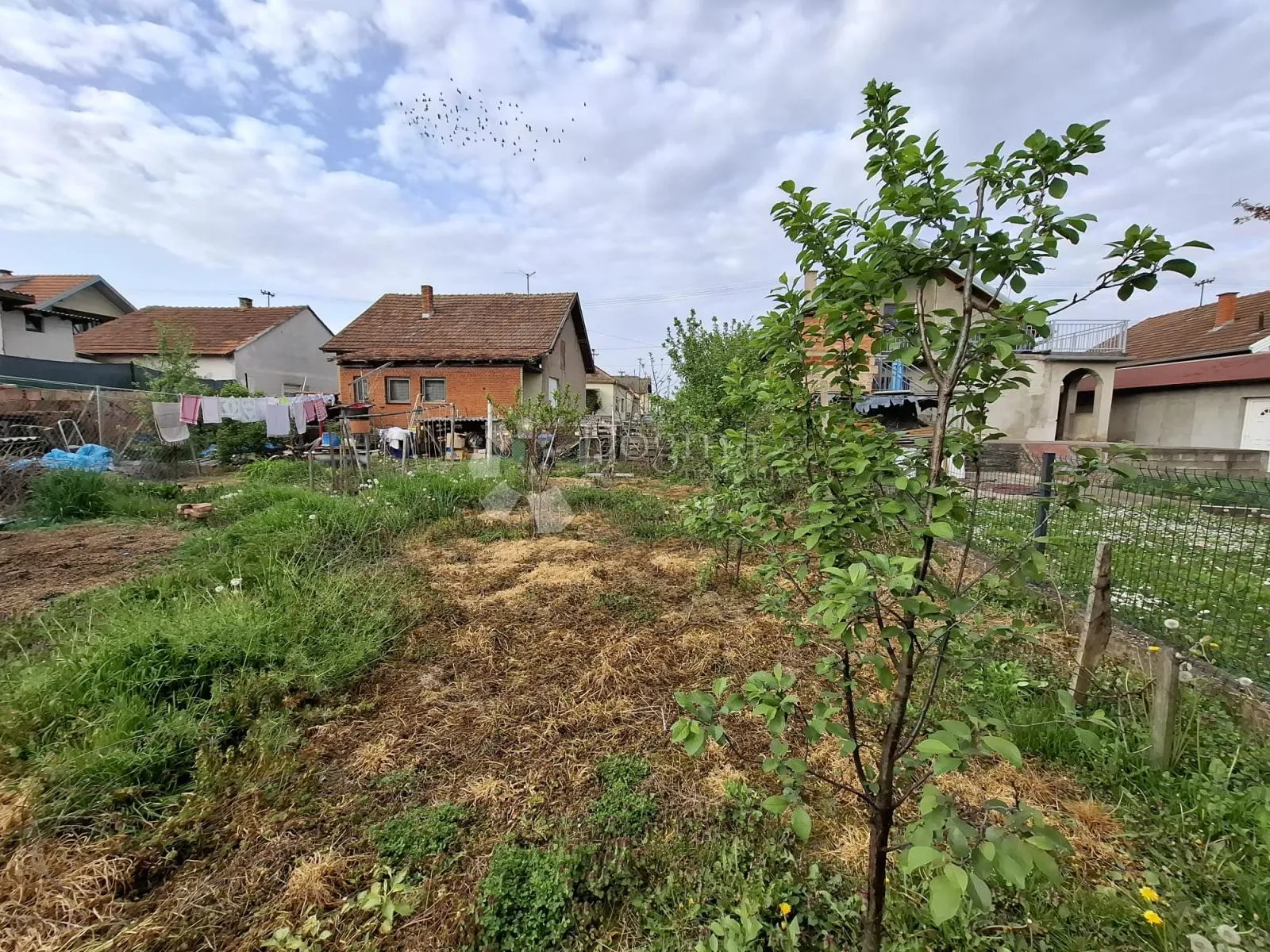kuća s potencijalom u mirnom dijelu slavije - slika 2