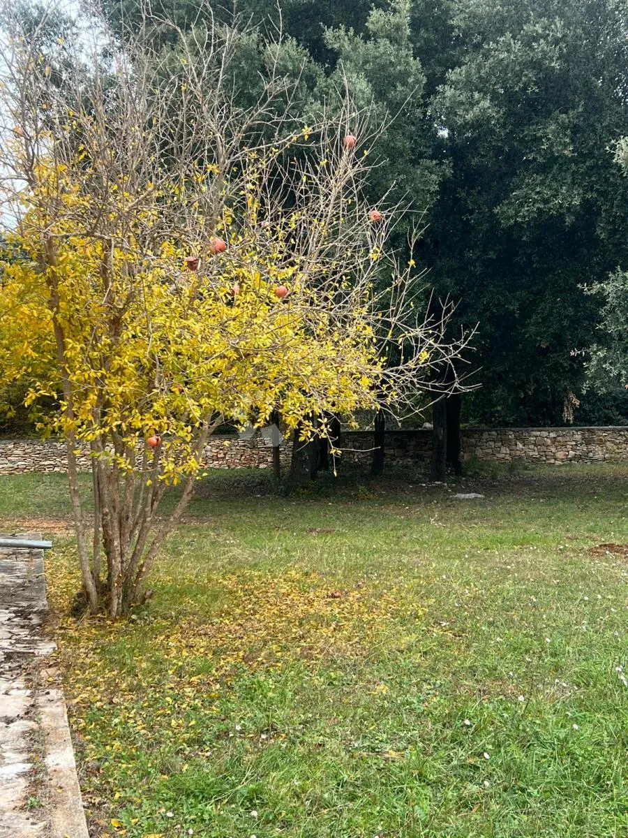 kuća i prostrano zemljište 11.090 m2 - slika 5