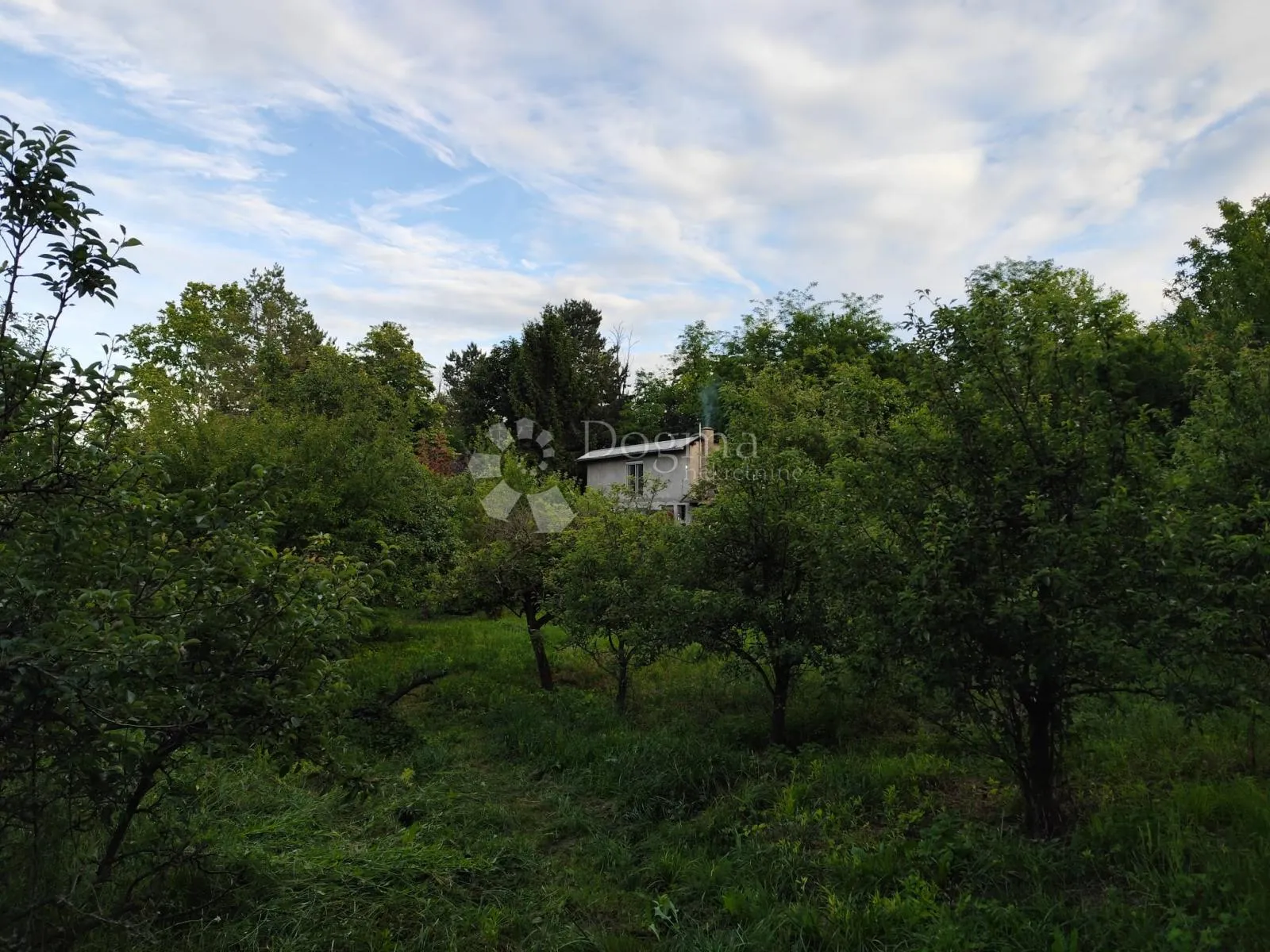 ekološko imanje s ogromnim potencijalom za različite izvore prihoda! - slika 11