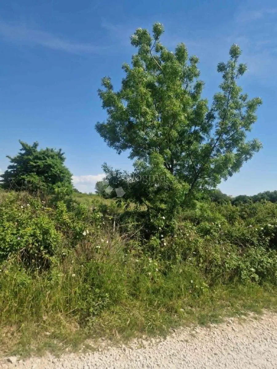 murvica - poljoprivredno zemljište 2182 m2 - slika 10