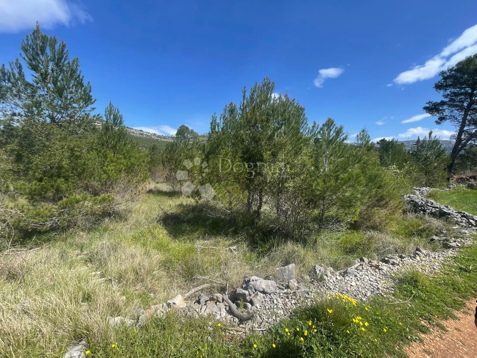 građevinsko zemljište 3.928 m2 dubrava pokraj šibenika - slika 1