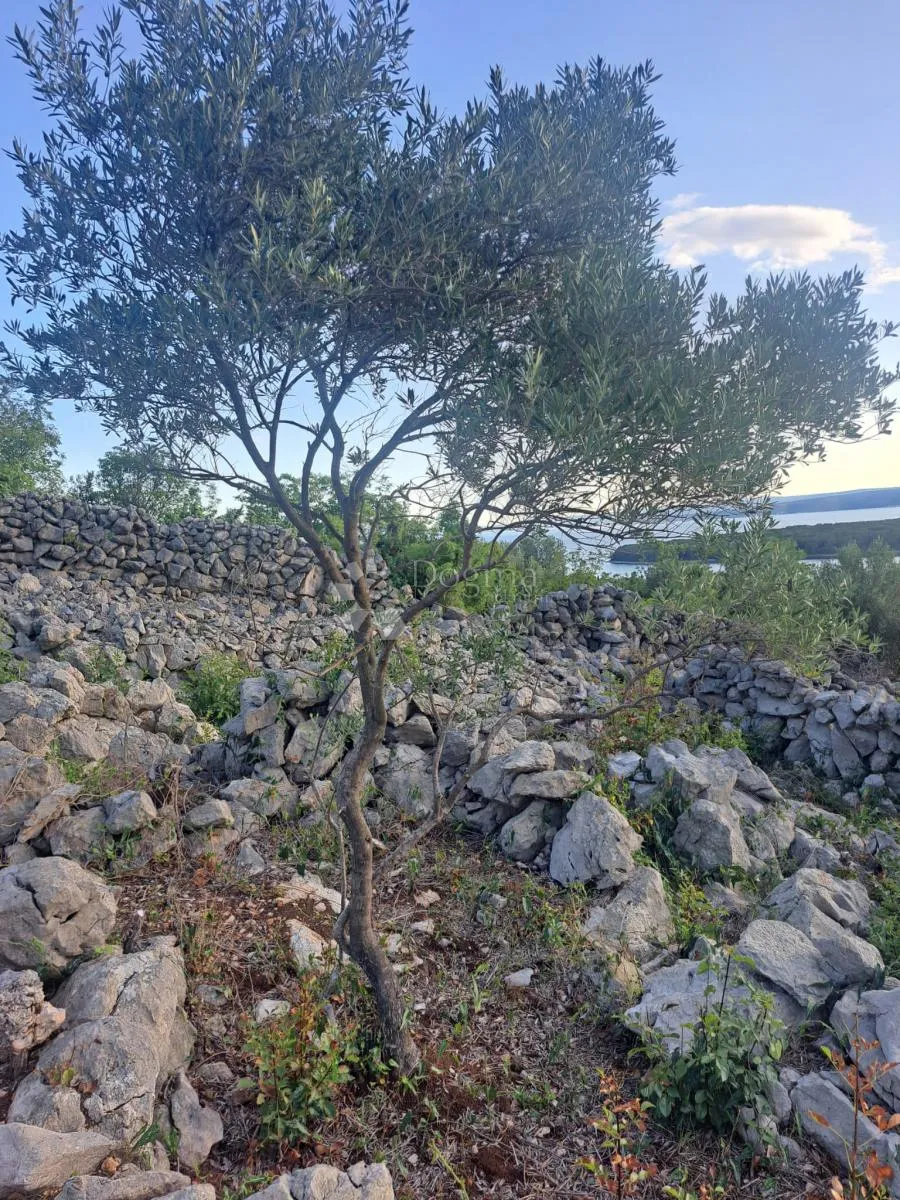 vaš kutak mediterana – maslinik s pogledom na more - slika 7