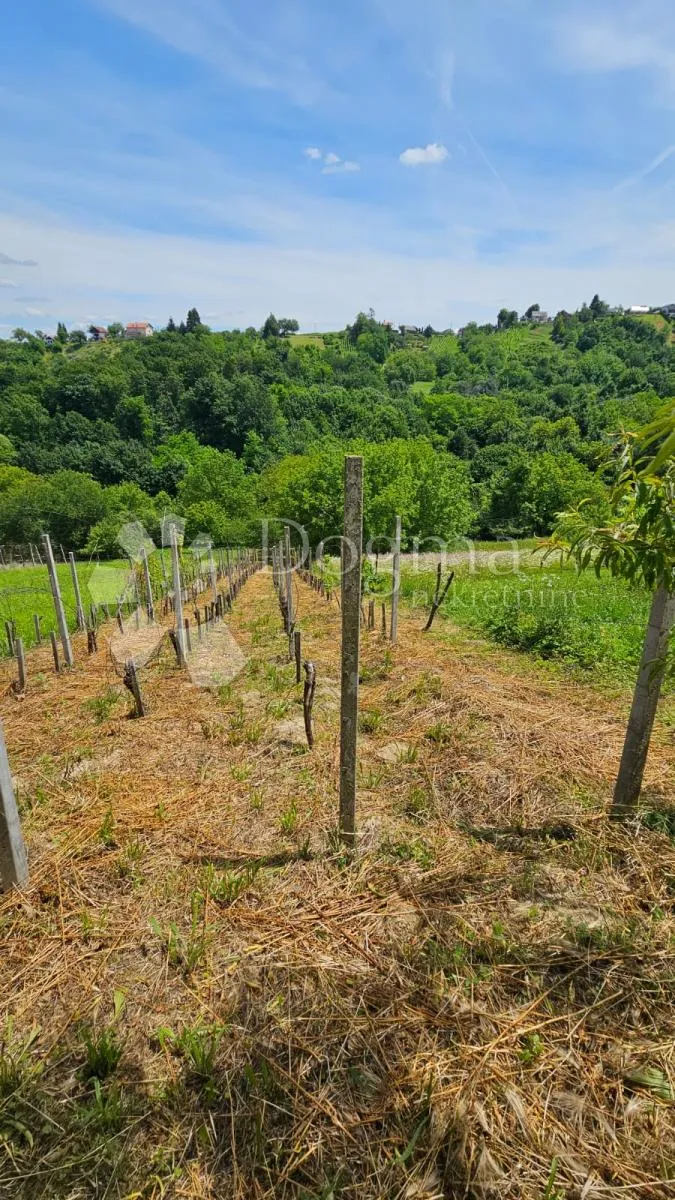 dvije kuće s pogledom u vrtlinovcu - slika 79