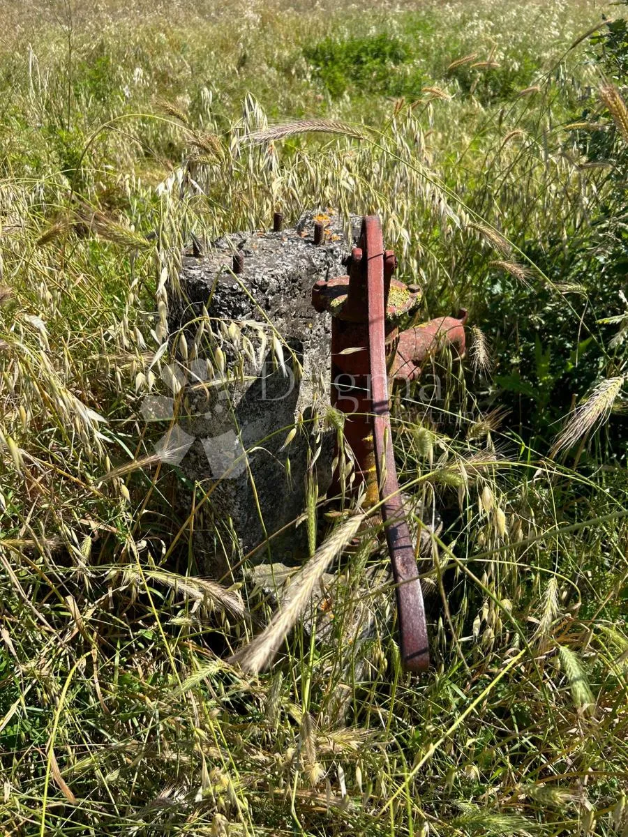poljoprivredno zemljište u puli, busoler - 1290m2 - slika 3