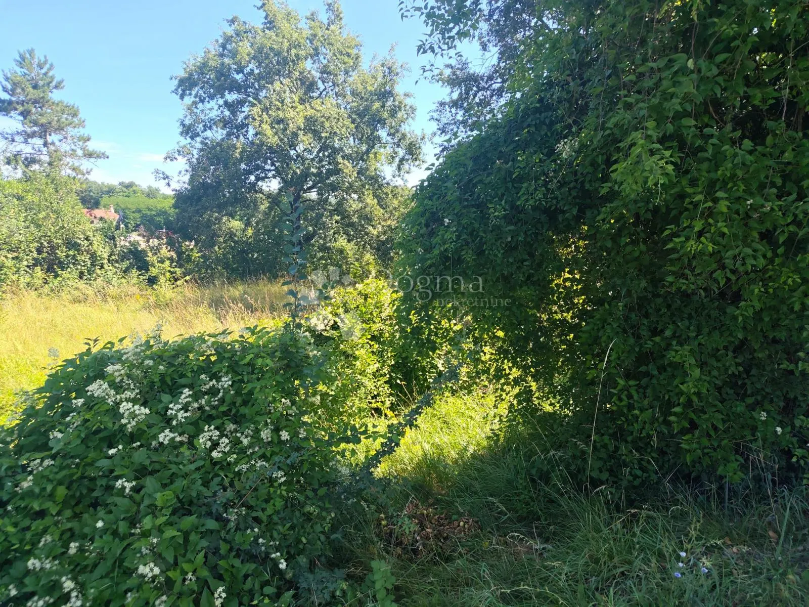 građevinsko zemljište s infrastrukturom, 2290 m² okolica pazina - slika 12