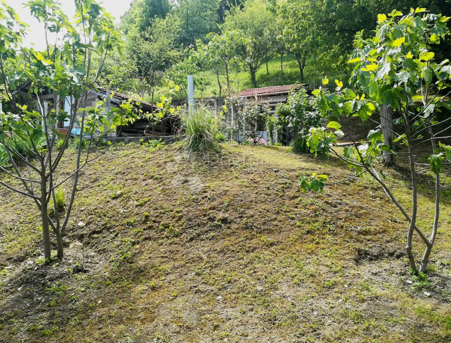 zelena oaza u svetoj nedelji za vikend druženja! prilika! - slika 11