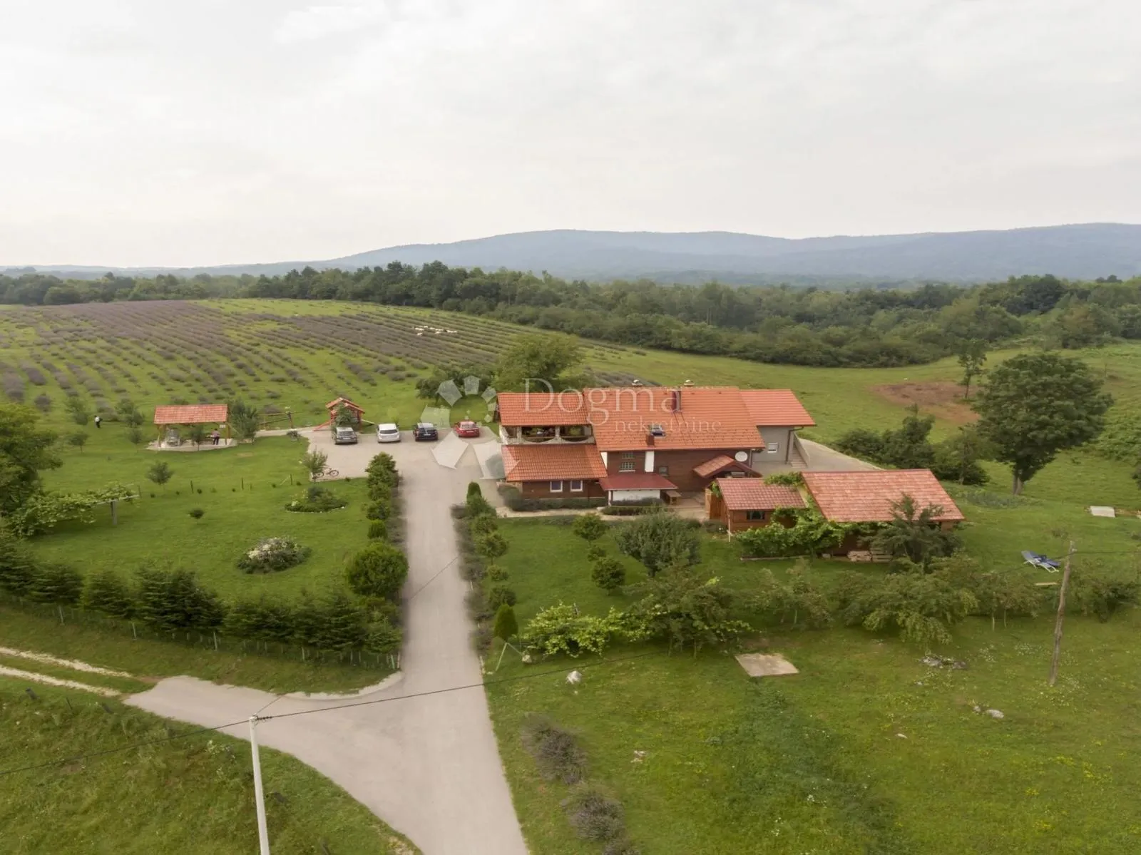 imanje kuće pomoćni objekti i zemlja 10000 m2 - slika 3