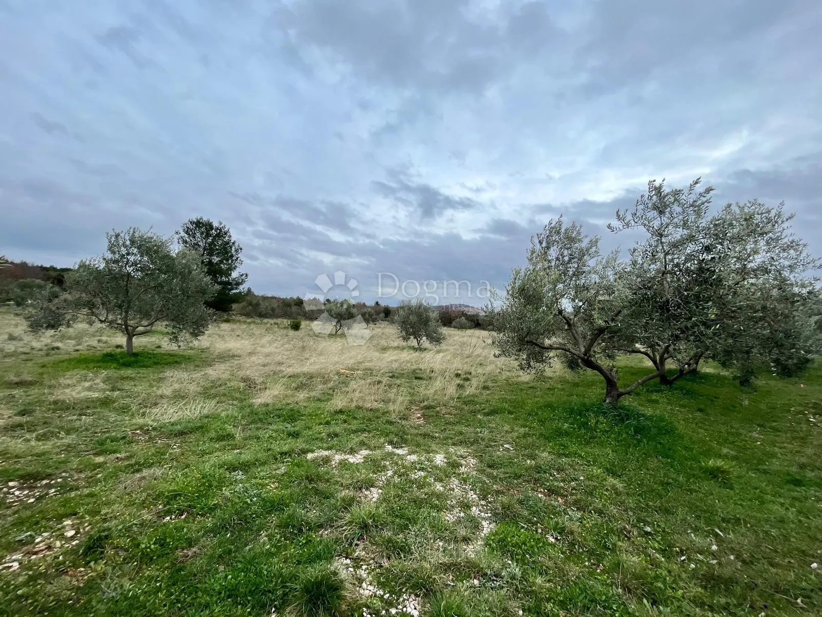 građevinsko zemljište 9.490 m² s maslinikom u rašteviću - slika 7