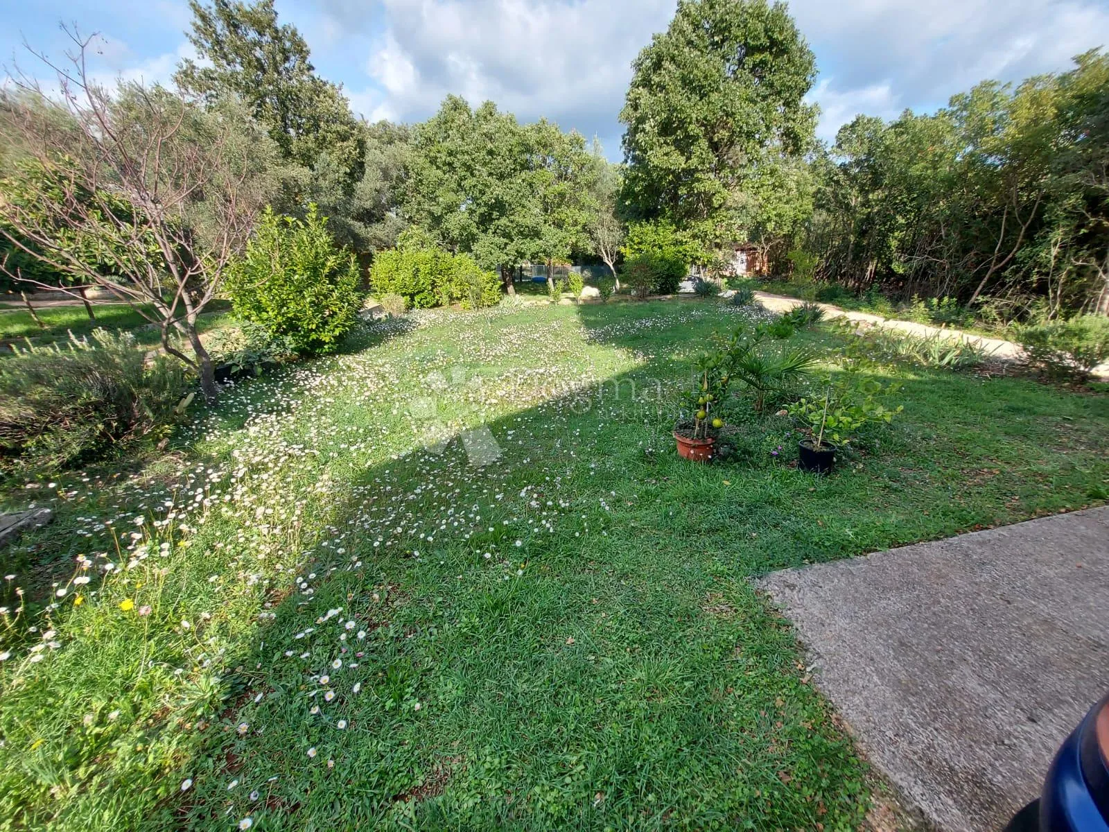 šarmantna prizemnica na mirnoj lokaciji - slika 20