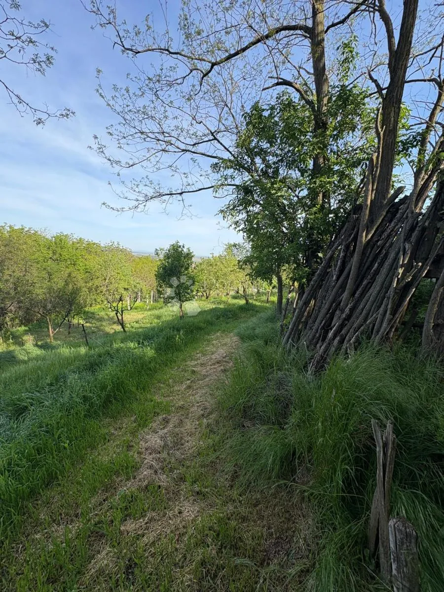oaza mira i privatnosti – vikendica s vinogradom i 3.797 m² okućnice - slika 33