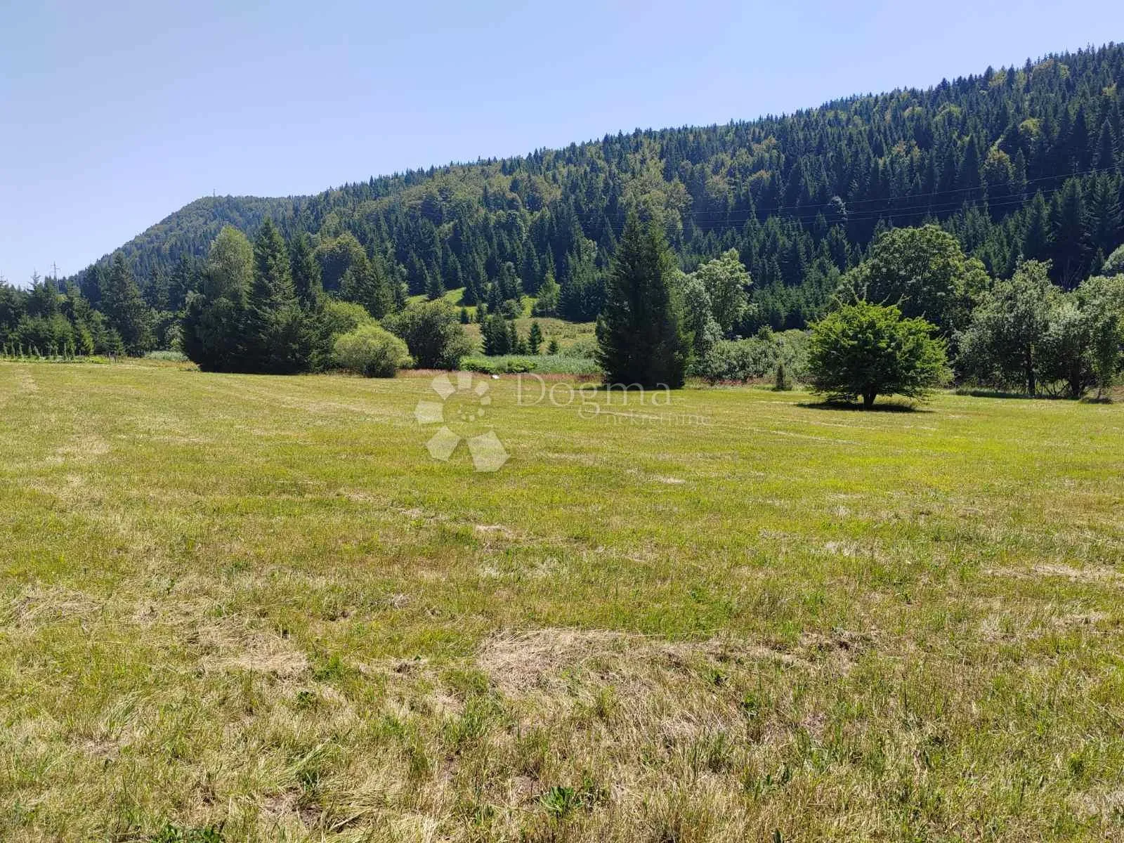 predivni raskošni teren u ravnoj gori - slika 4