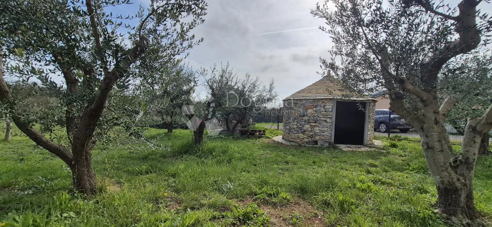 maslinik sa kamenim kažunom površine 15 m2, 1,5 km od mora - slika 5