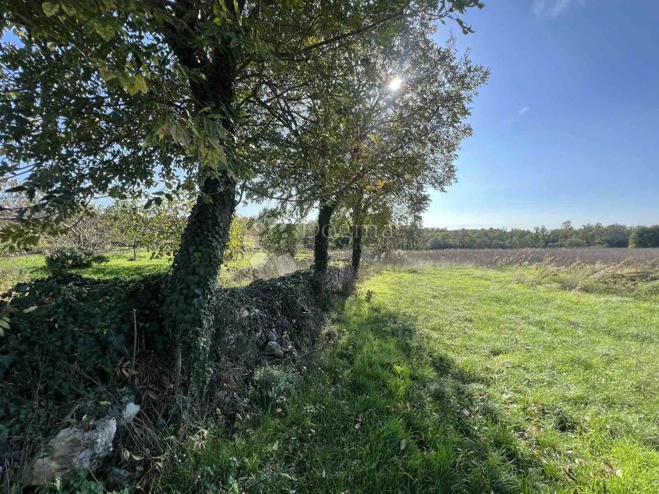 istra, građevinsko zemljište sa infrastrukturom, 20min od poreča! - slika 7