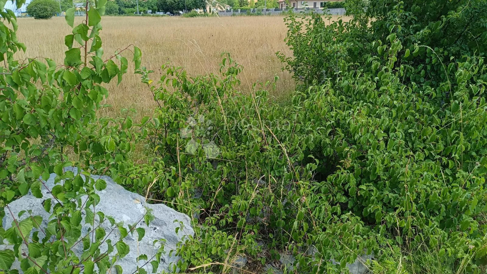 čavle, zemljište 3500 m2 sa građevinskom dozvolom - slika 3