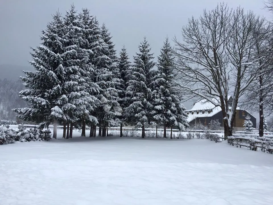 bjelolasica,jasenak, kuća za odmor - slika 10