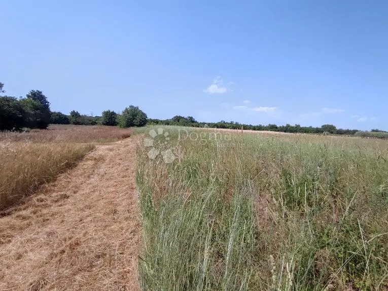 marčana, građevinsko zemljište za stambenu gradju - slika 7
