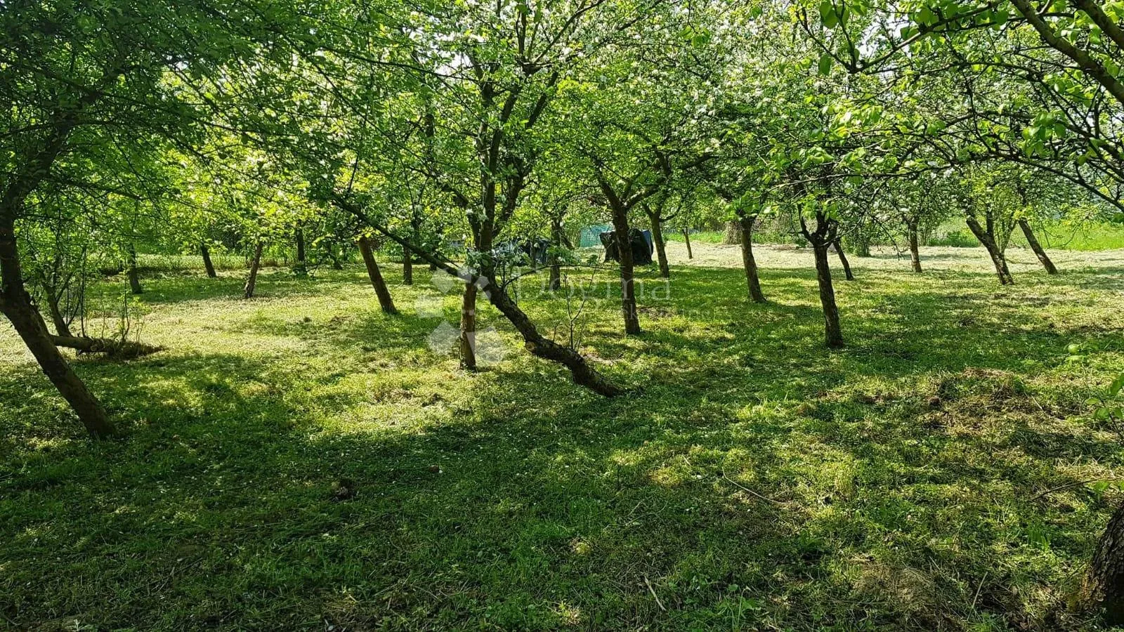 drnek velika gorica 1700m2 uz savu! - slika 5