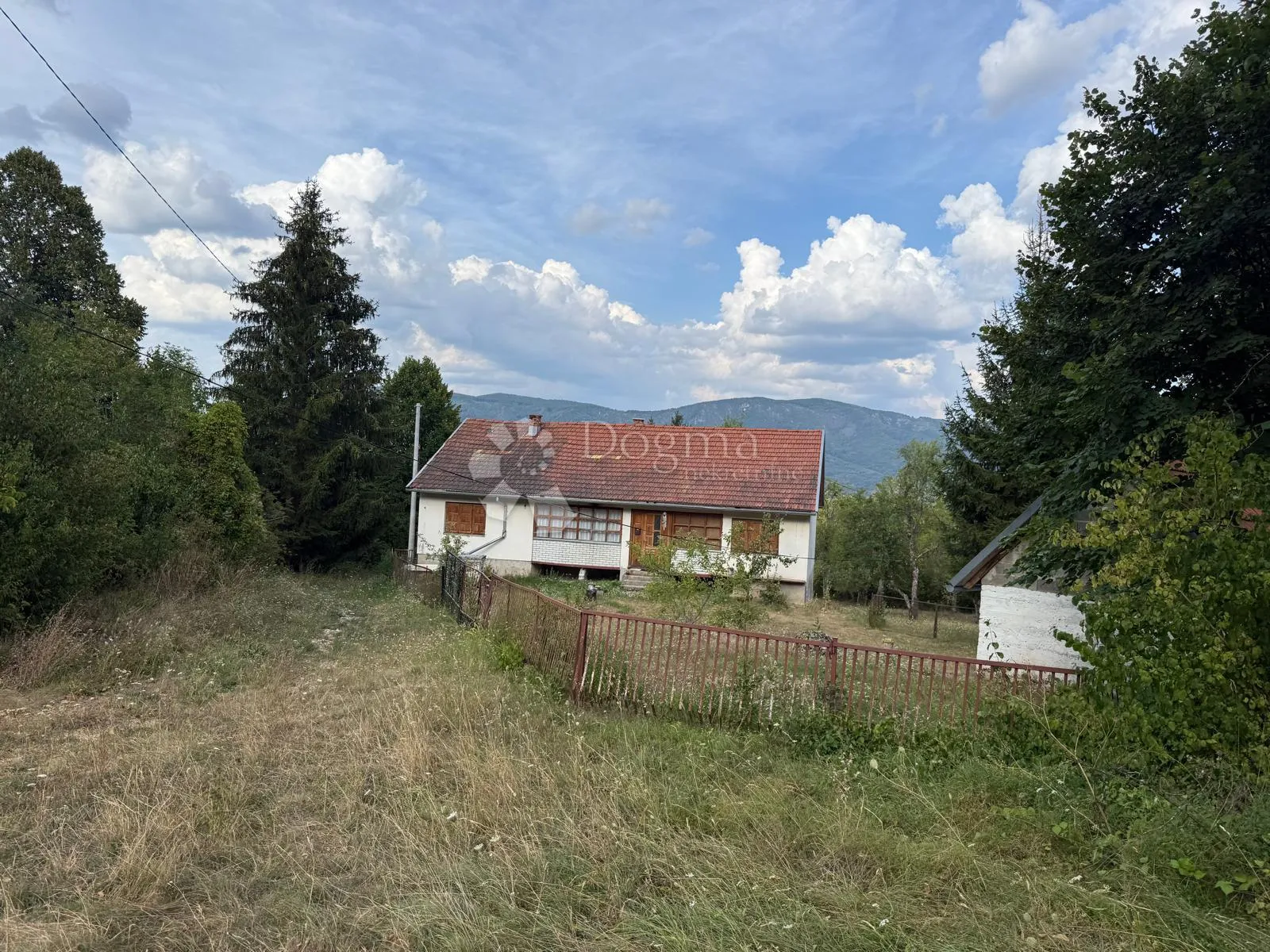 useljivo imanje na osami šuma zelenilo pogled - slika 18