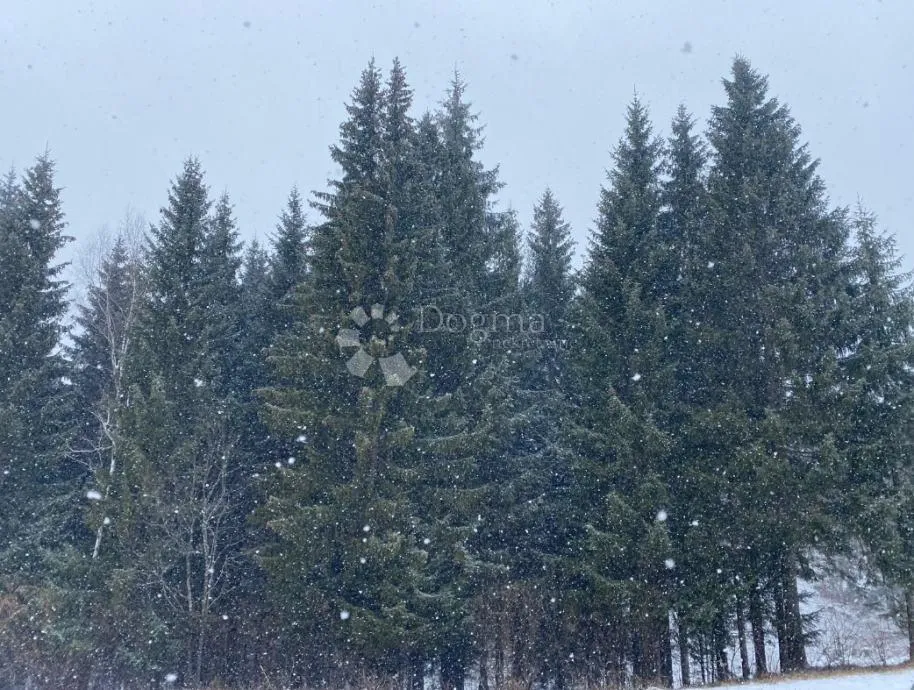 Gorski kotar, Ravna Gora, građevinsko zemljište, 4991 m2