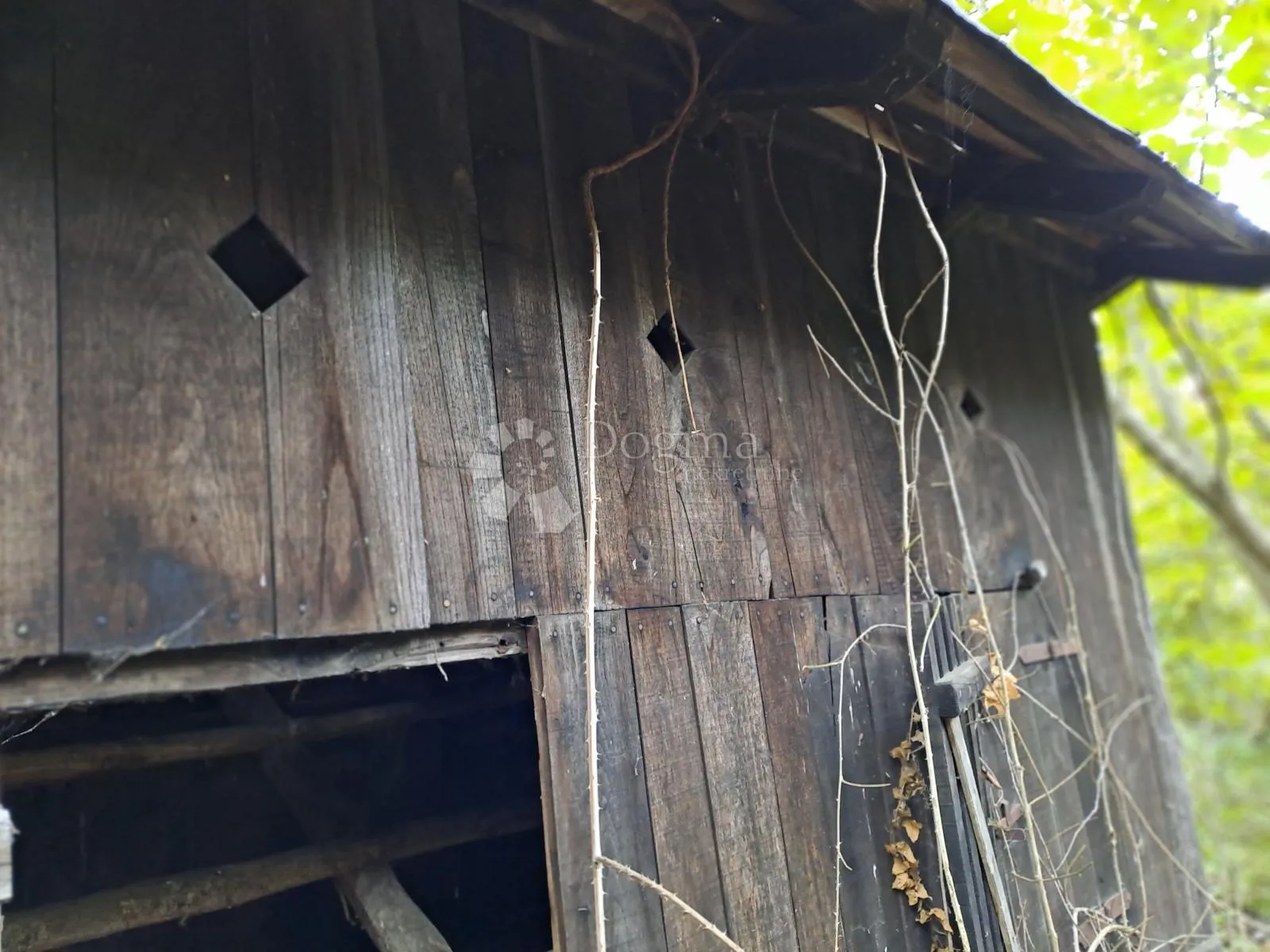 sniženo!!!velika kvadratura i 2kuće u napuštenom selu - slika 18