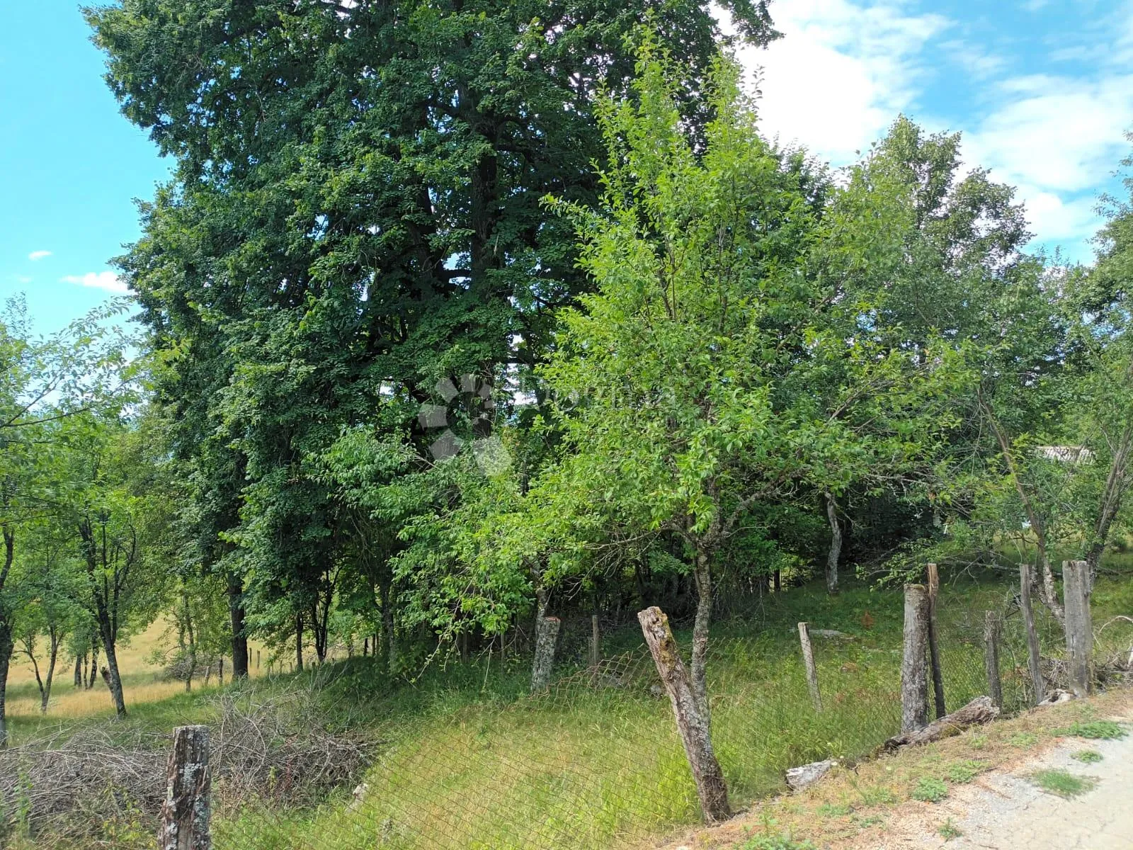 građevinsko zemljište vaganac - slika 4