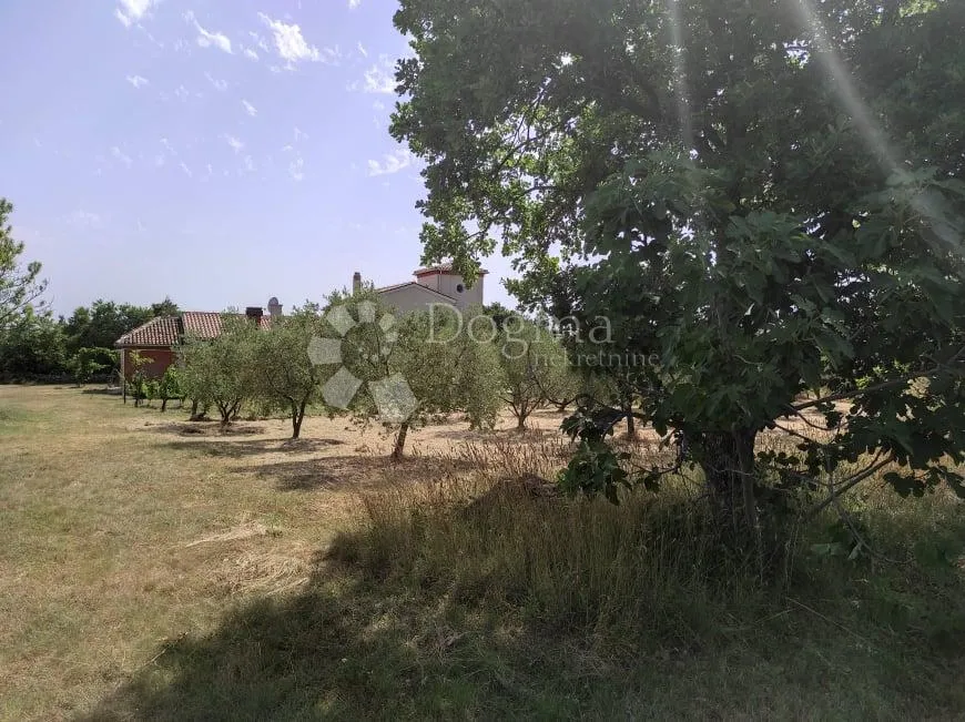 prekrasna stancija u okolici pule, s 10000 m² urbaniziranog zemljišta - slika 59