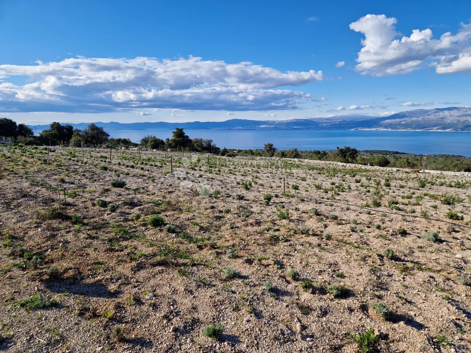 donji humac, zemljište za izgradnju opg-a, 12555 m2, pogled - slika 4