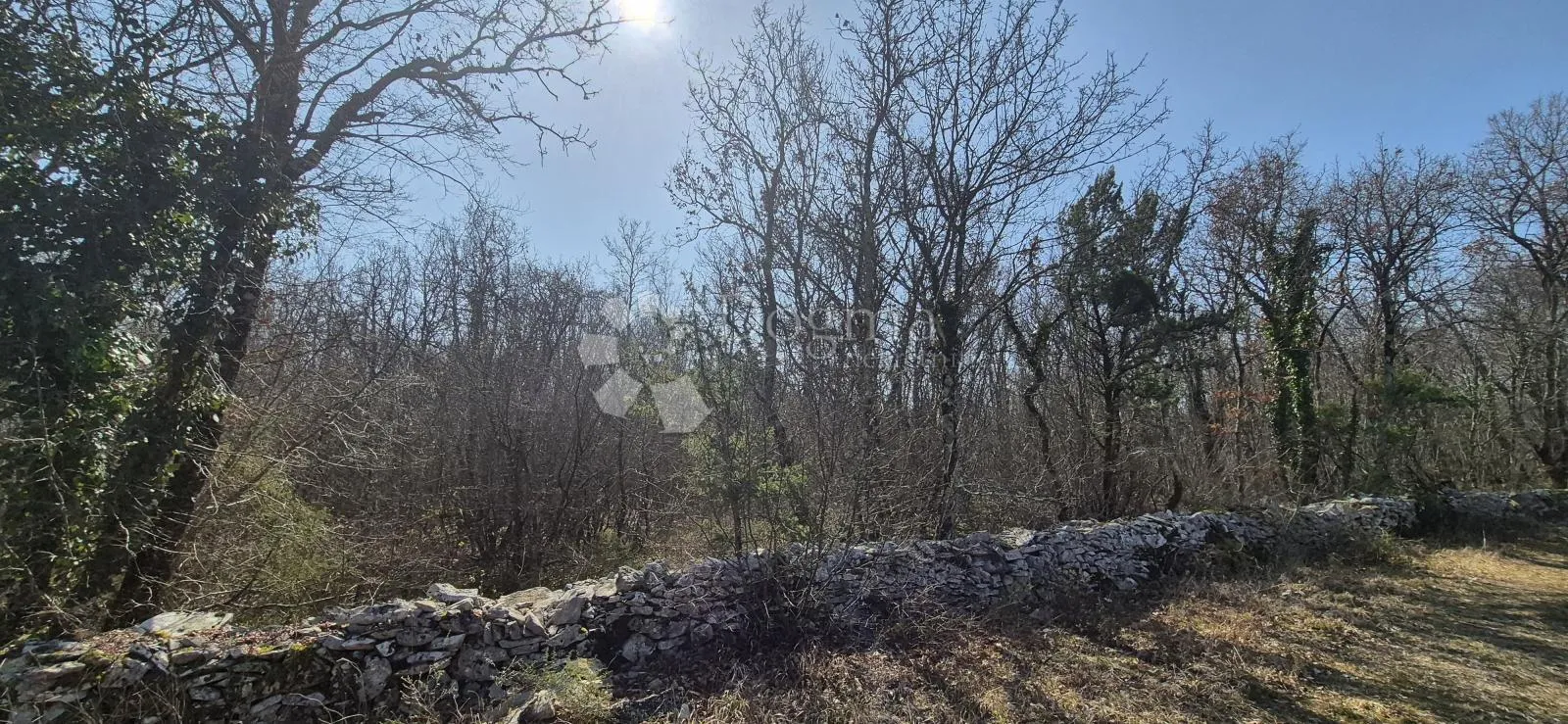 poljoprivredno zemljište površine 23953 m2 sa ogromnim potencijalom - slika 3