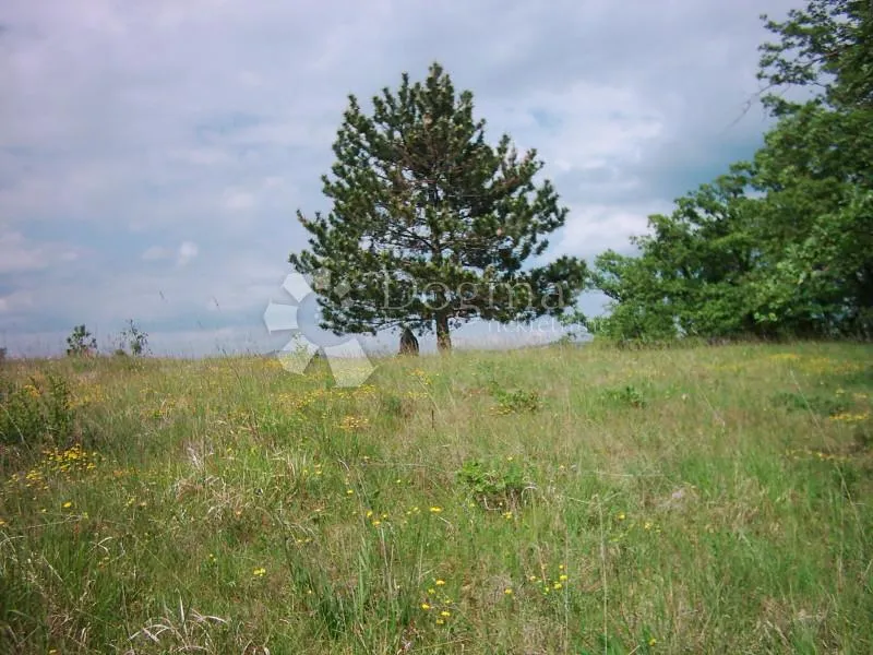 istra, impozantno imanje - slika 20