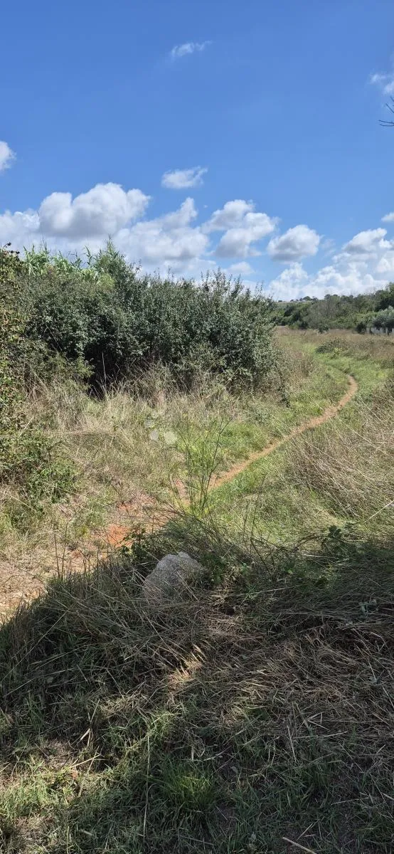 građevinsko zemljište, šikići - 4,5 km od centra pule - slika 3
