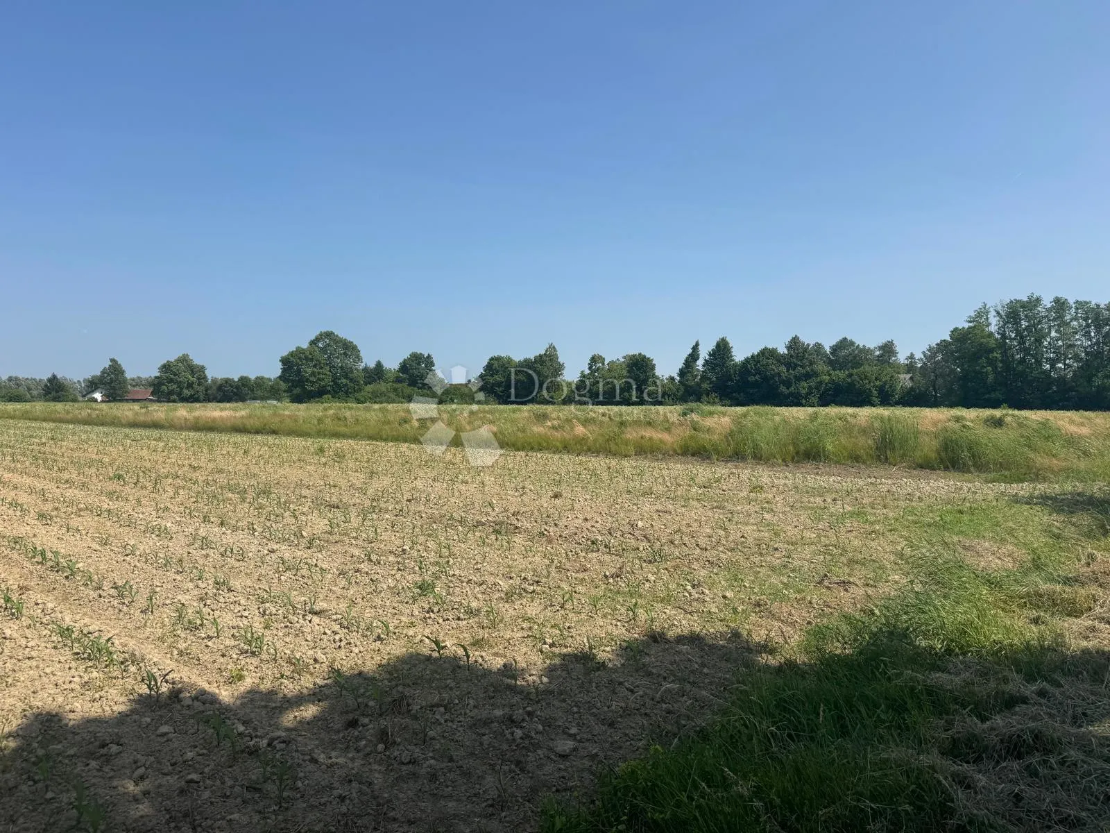 veliko imanje 39.323 m² – mir, priroda i potencijal! - slika 22